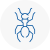 Ant Removals In Wednesfield