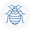 Bed Bug Extermination In Wednesfield