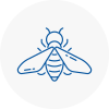 Bee Nest Removal Wednesfield