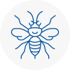 Wednesfield Hornet Nest Removals