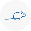 Mice Exterminators In Wednesfield