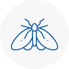 Moth Control Specialists In Wednesfield