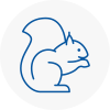 Wednesfield Rodent Removals